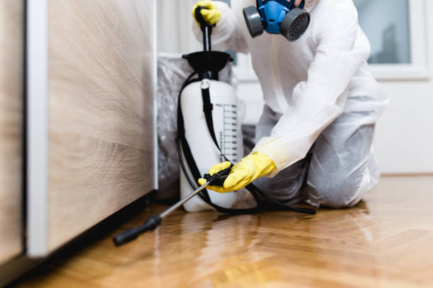 Best Residential Pest Control  in Selah, WA