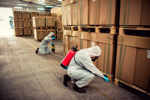 Best Local Pest Control Services  in Selah, WA