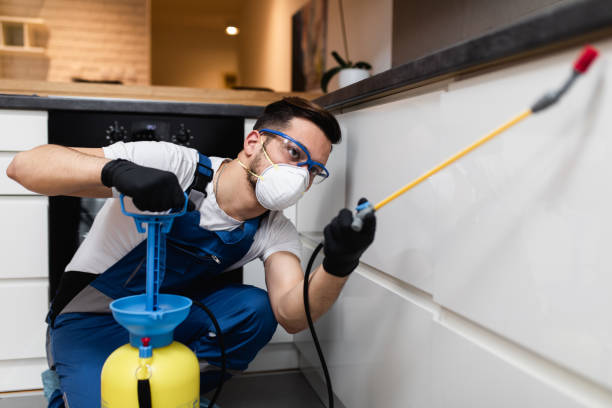 Best Pest Control for Homes  in Selah, WA