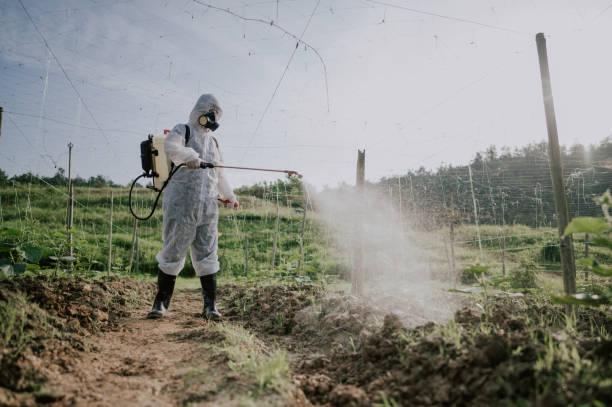 Pest Control for Restaurants in Selah, WA