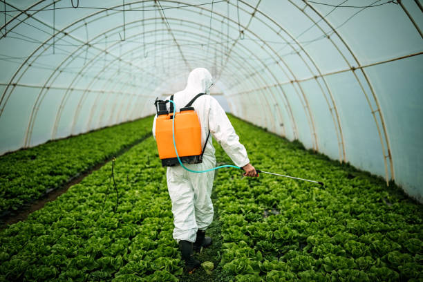 Best Pest Control Treatment  in Selah, WA