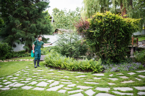 Best Insect Control  in Selah, WA