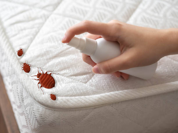 Best Bed Bug Extermination  in Selah, WA