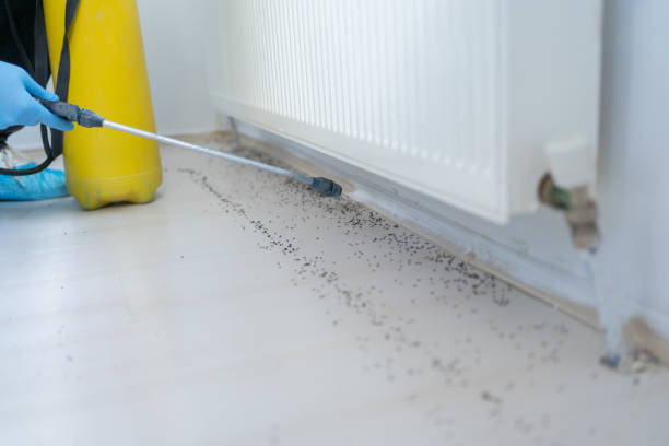 Best Best Pest Control Companies  in Selah, WA