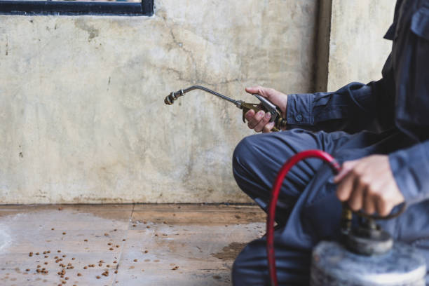 Best Best Pest Control Companies  in Selah, WA