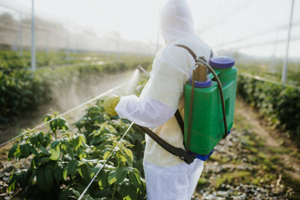  Selah, WA Pest Control Pros